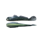 GOLIATH GOBY Pike